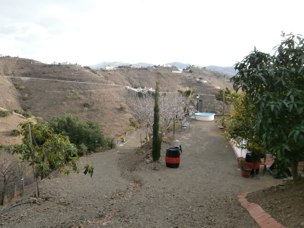 259877.jpg