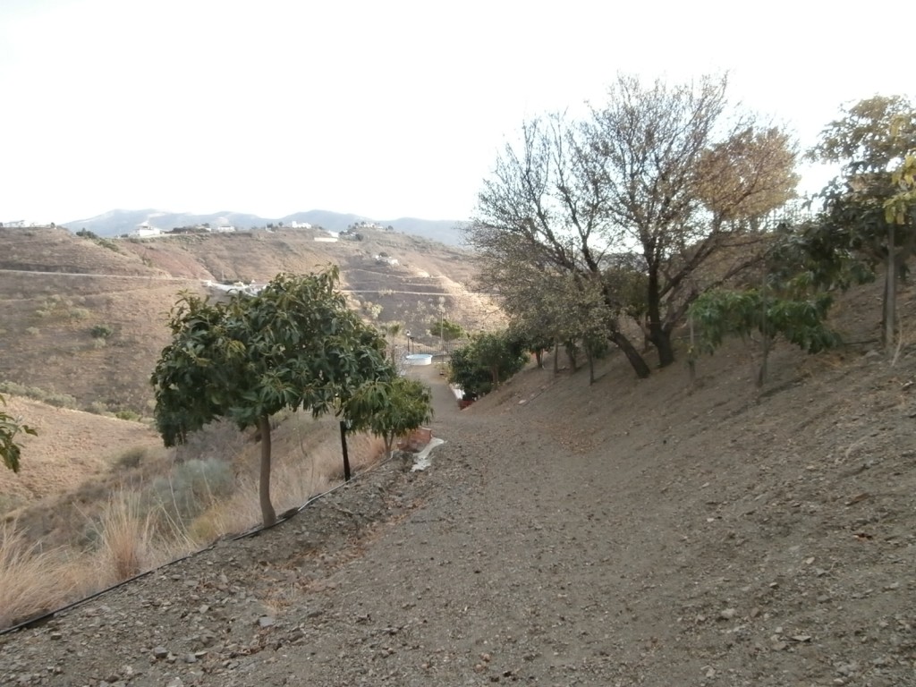 259884.jpg