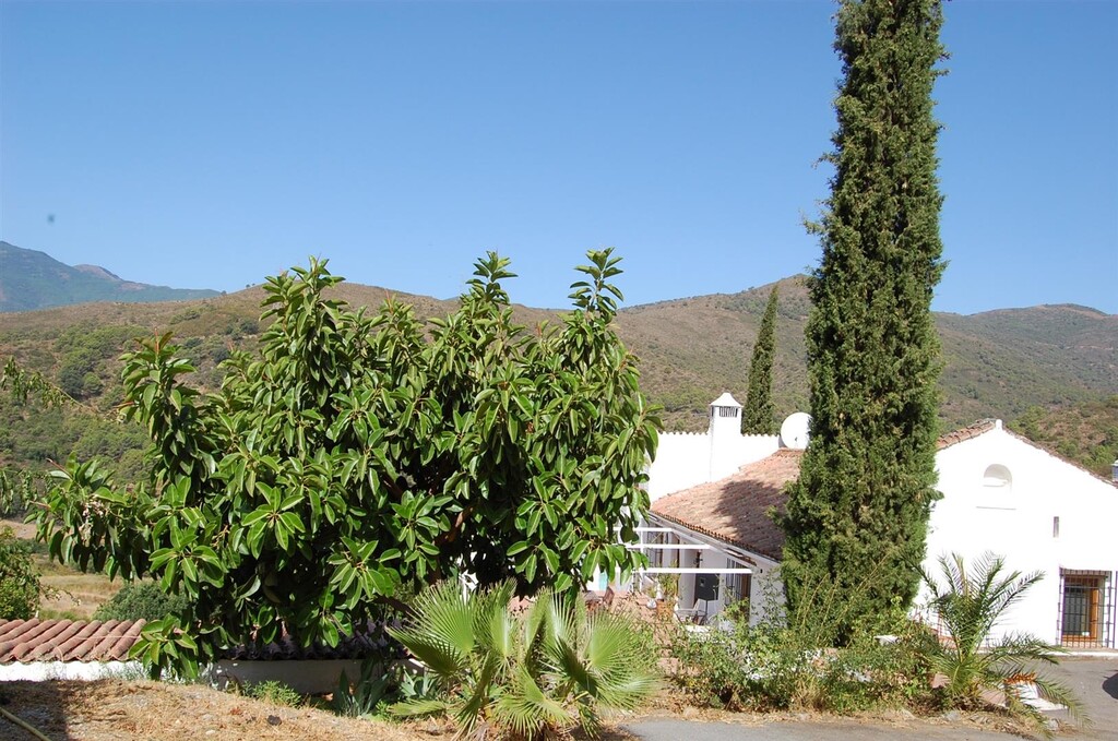 Finca Estepona € 8.000.000,-