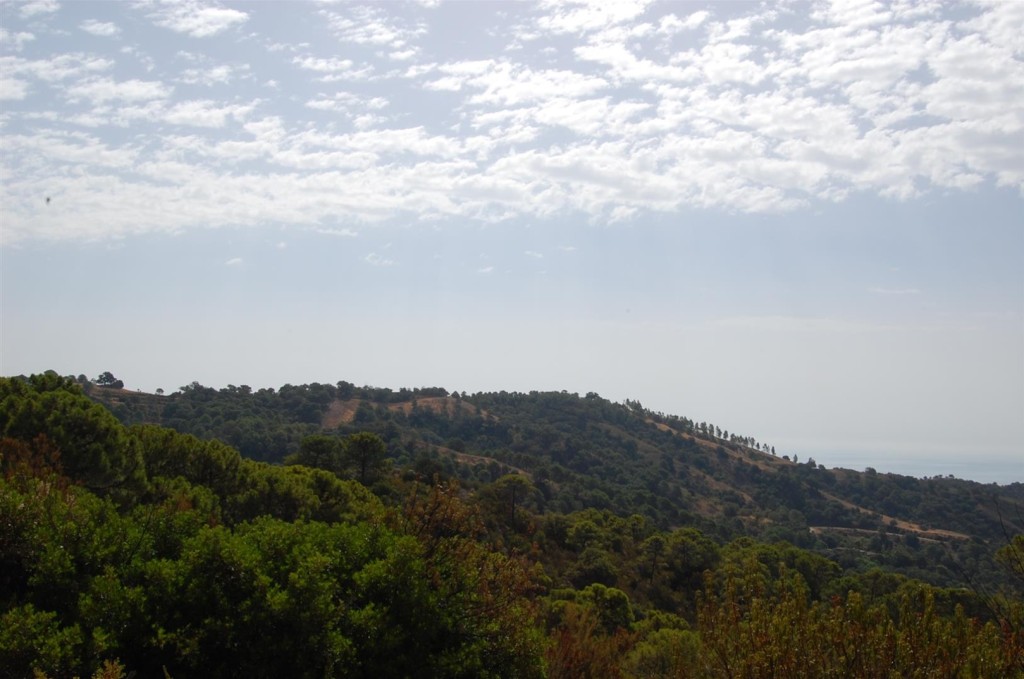 271530.jpg