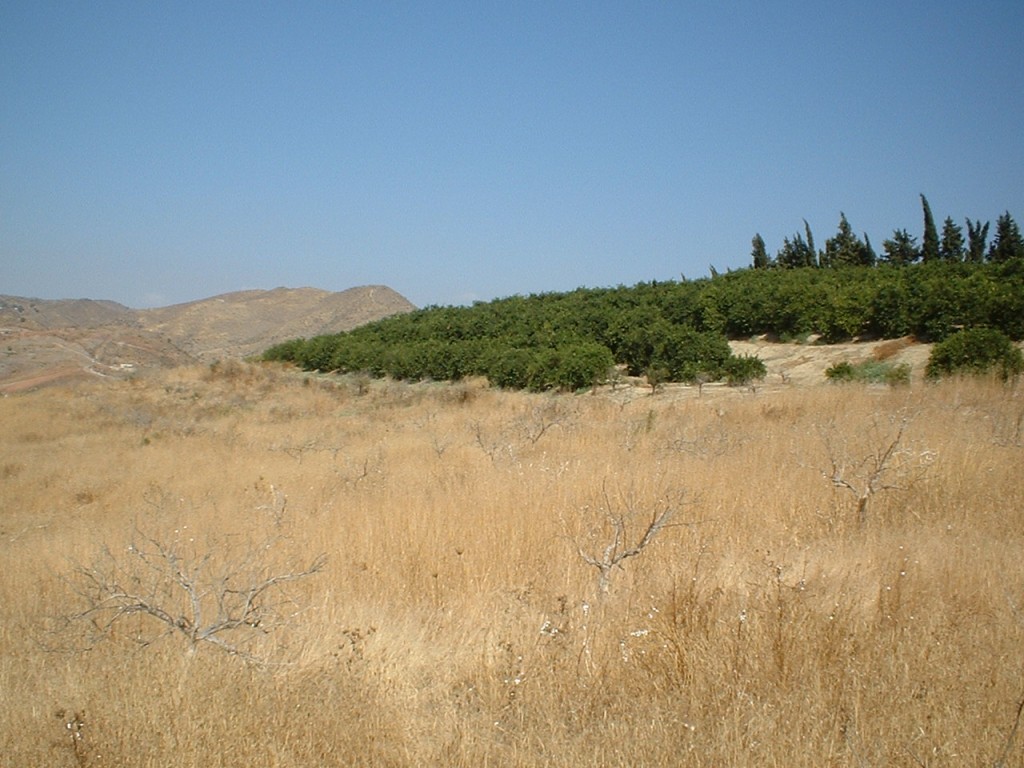 259940.jpg