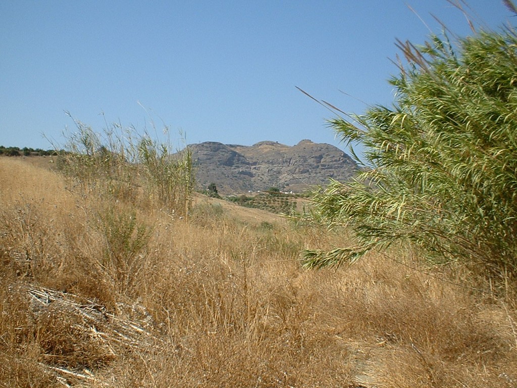 259942.jpg