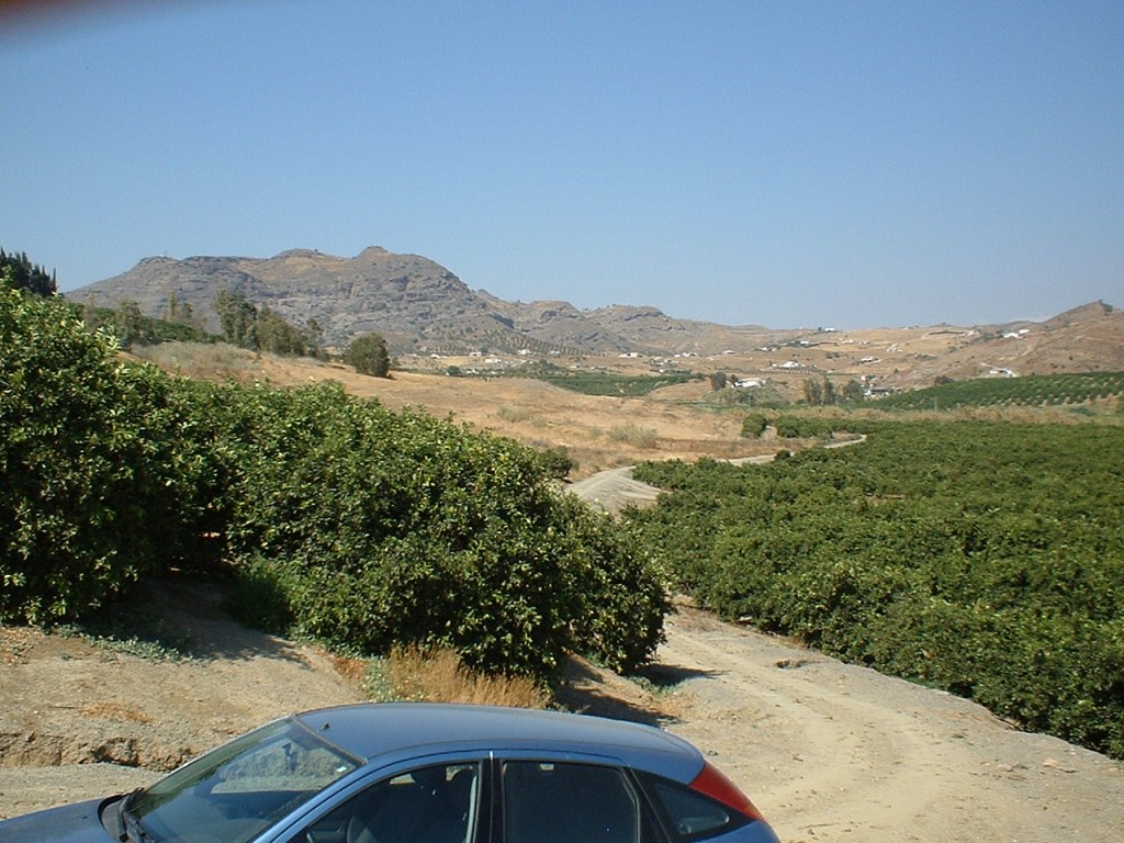 259948.jpg