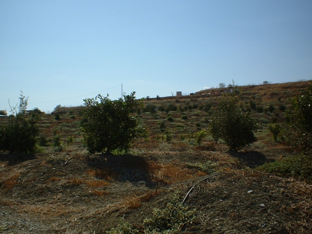 259951.jpg