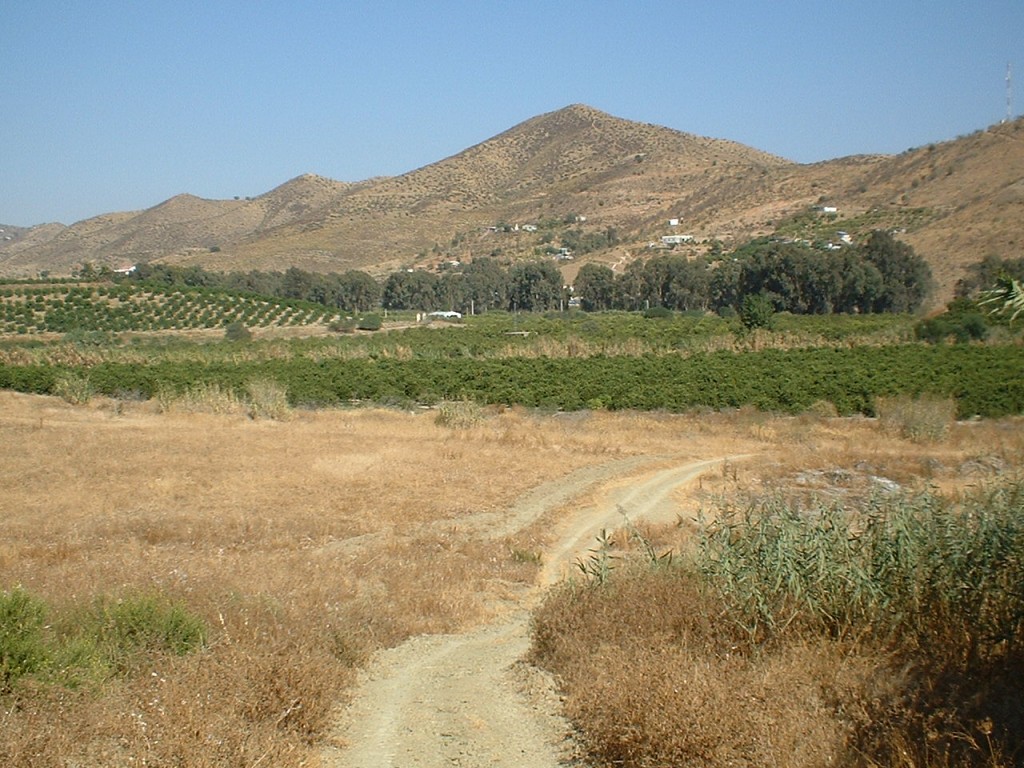 259953.jpg