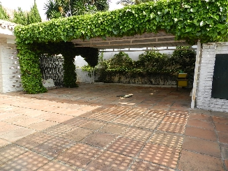 299966.jpg