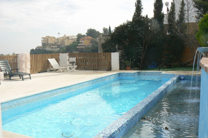 294517.jpg