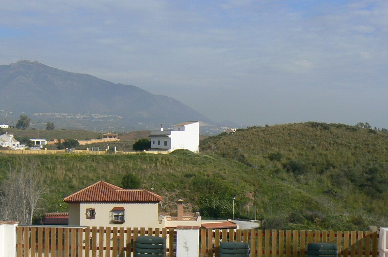 294519.jpg