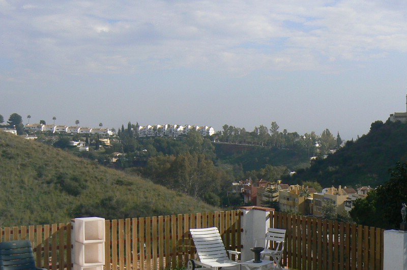 294520.jpg