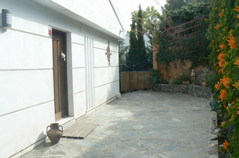 294522.jpg