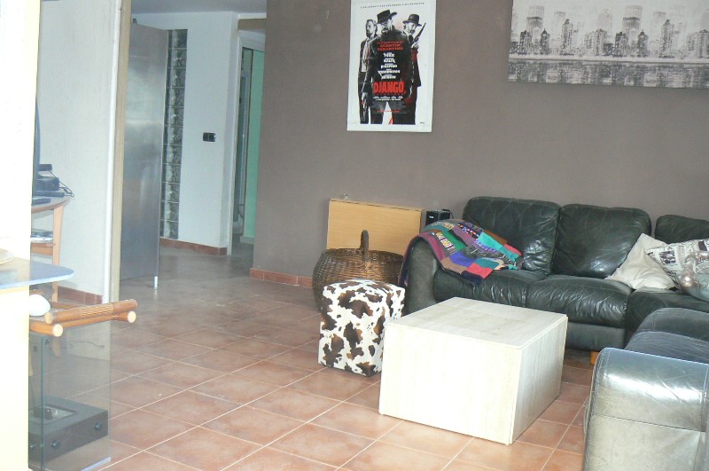 294543.jpg