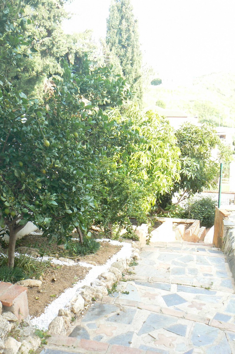294555.jpg