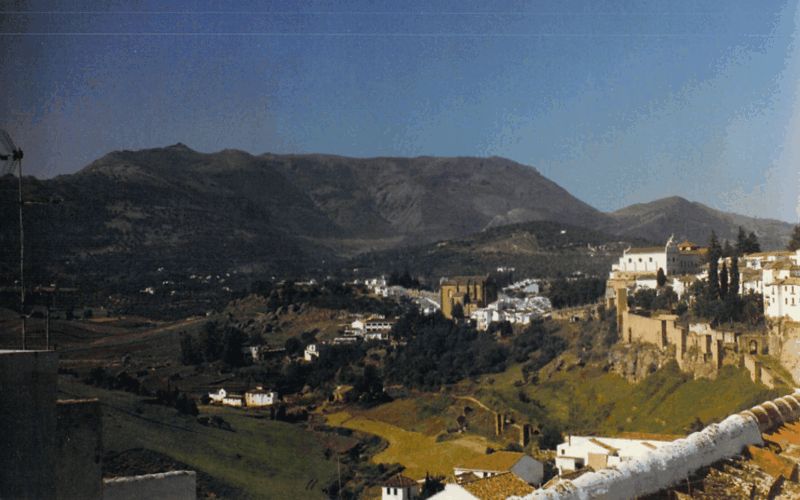 246574.jpg