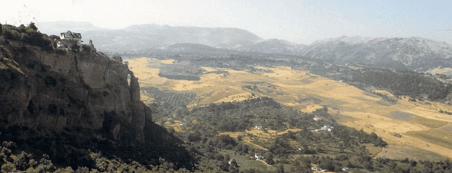 246575.jpg