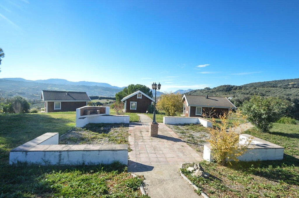 244719.jpg