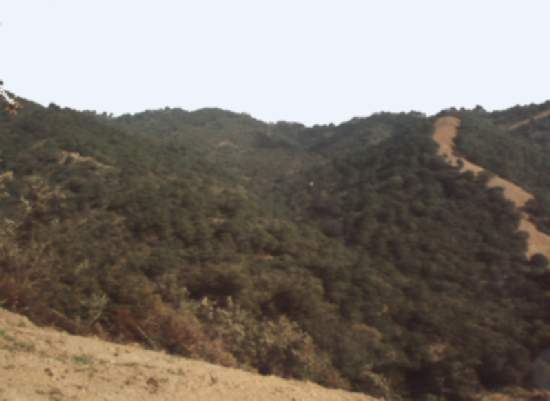 Plot Estepona € 1.500.000,-