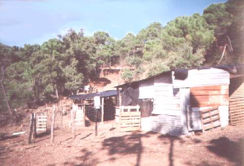 270059.jpg