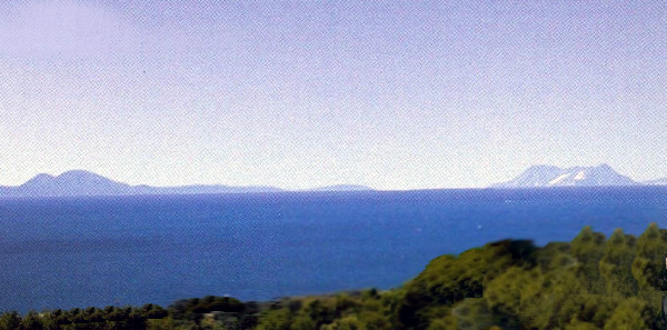 270054.jpg