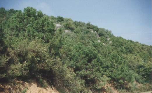 270056.jpg