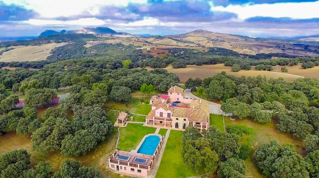 246849.jpg
