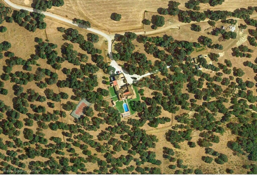 246856.jpg