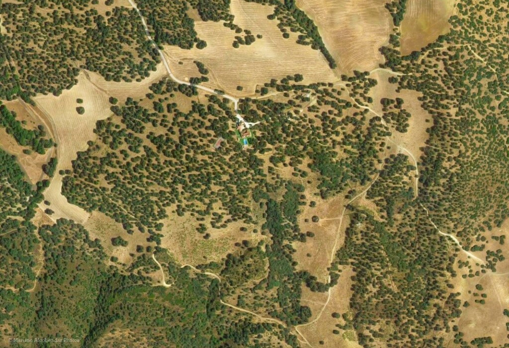 246857.jpg