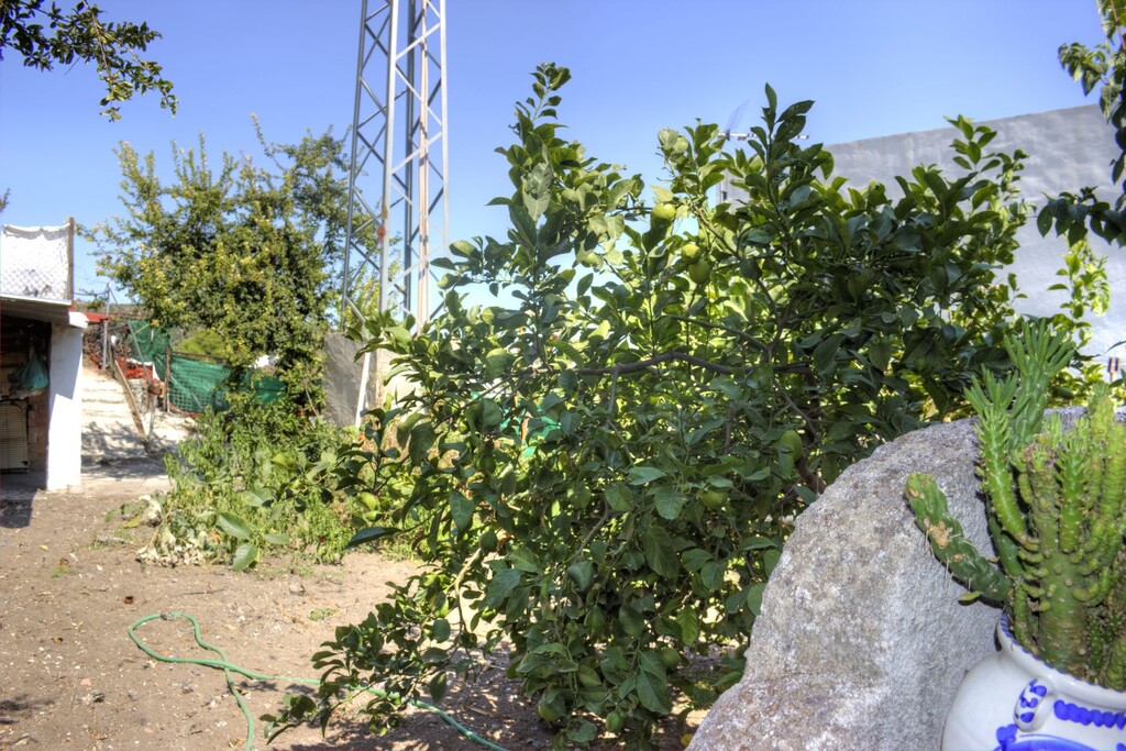 260026.jpg