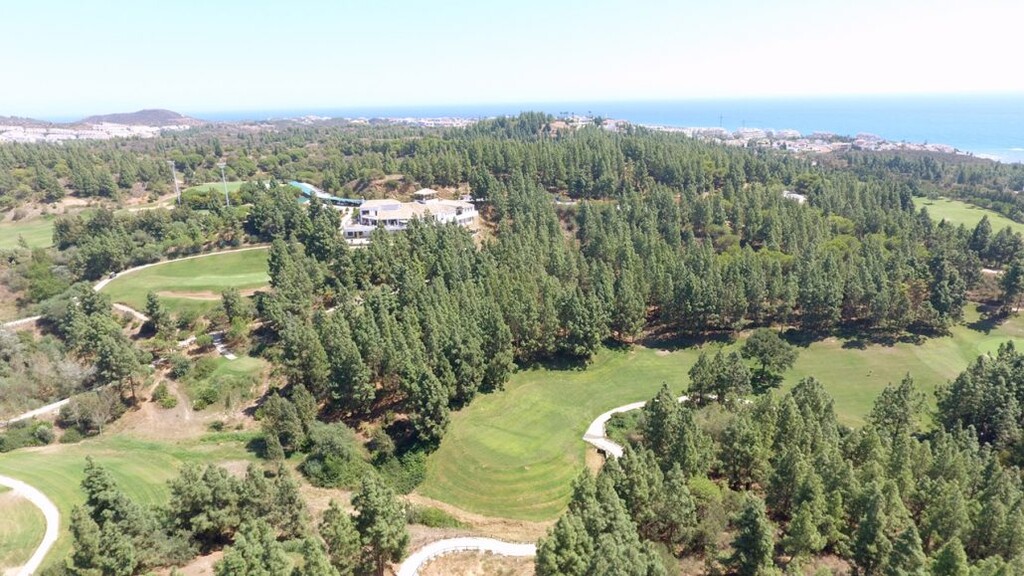 300013.jpg