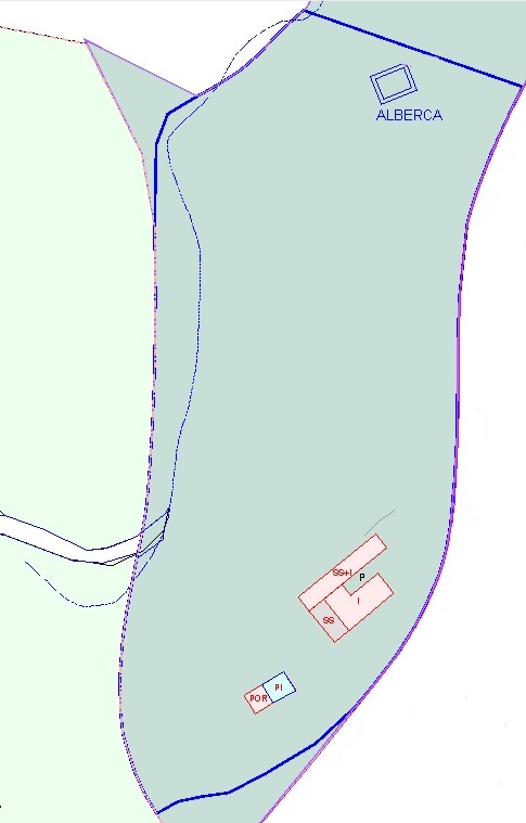 245103.jpg
