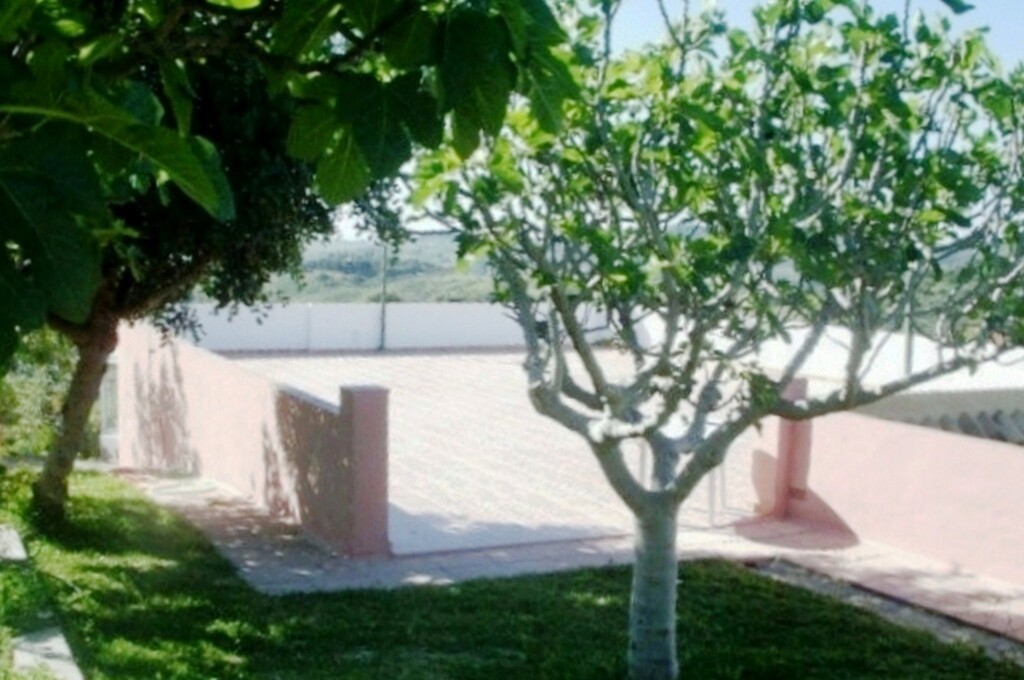 288246.jpg