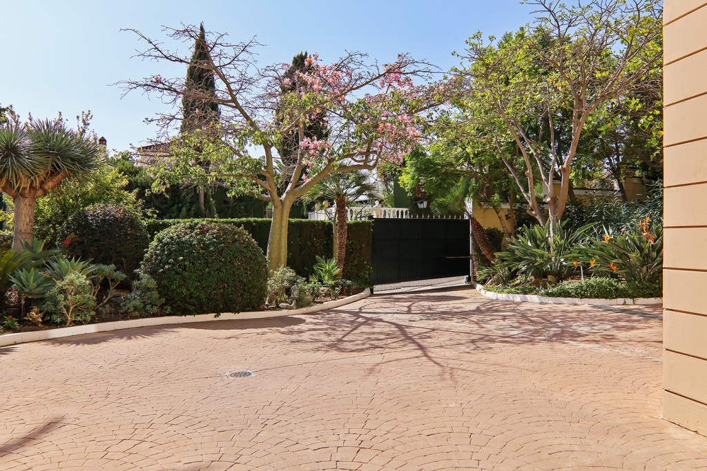 288431.jpg