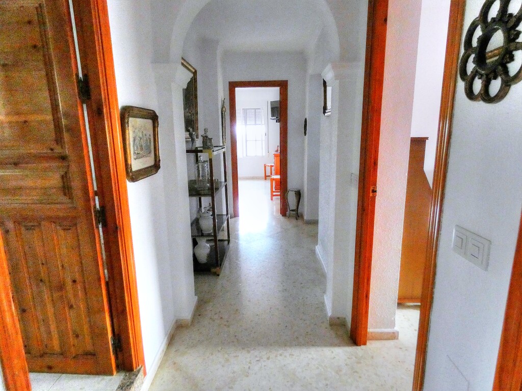 241872.jpg