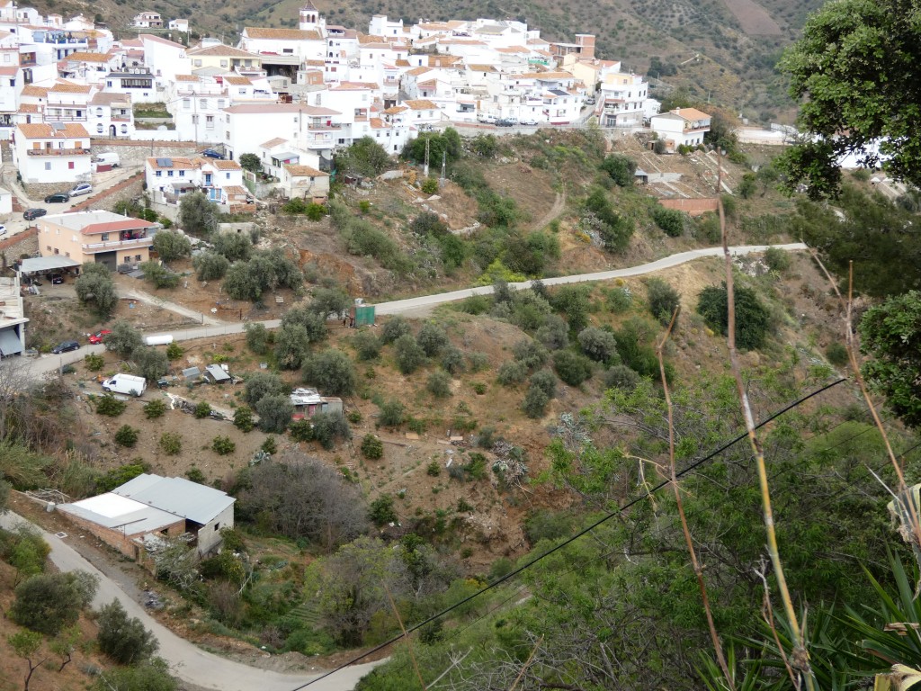 260037.jpg