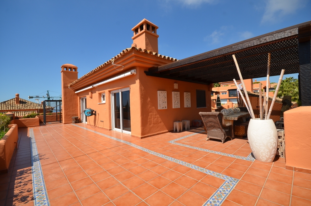 293991.jpg