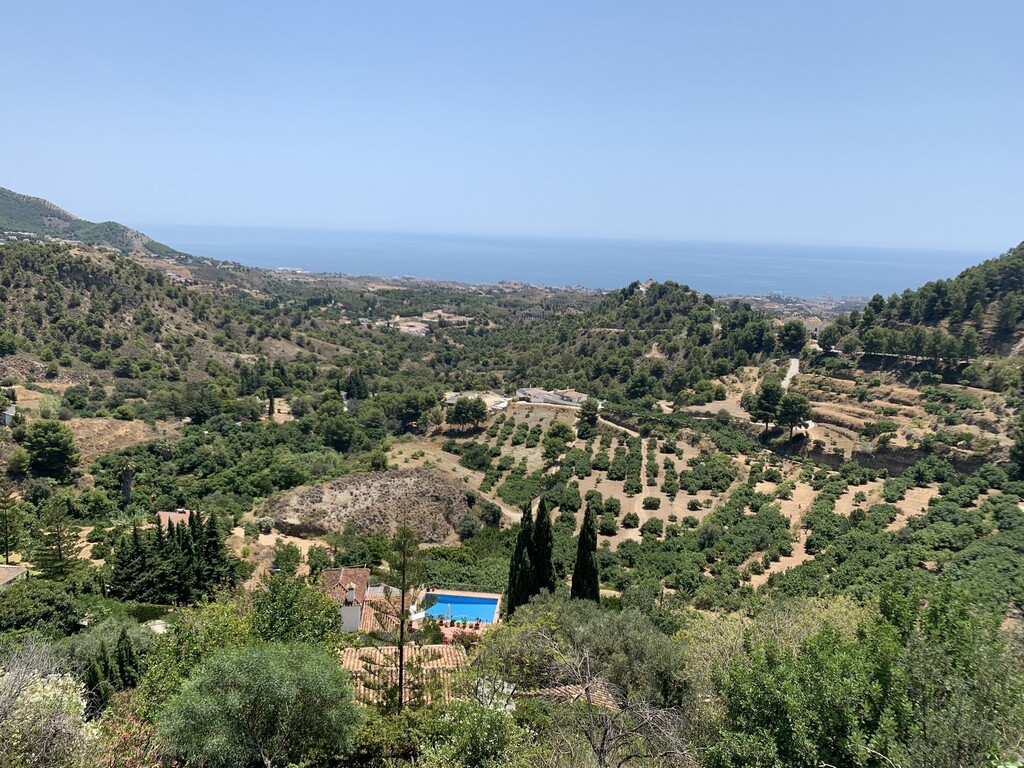 243670.jpg