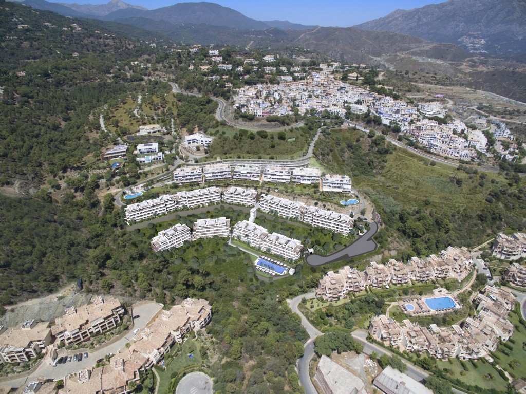 282217.jpg