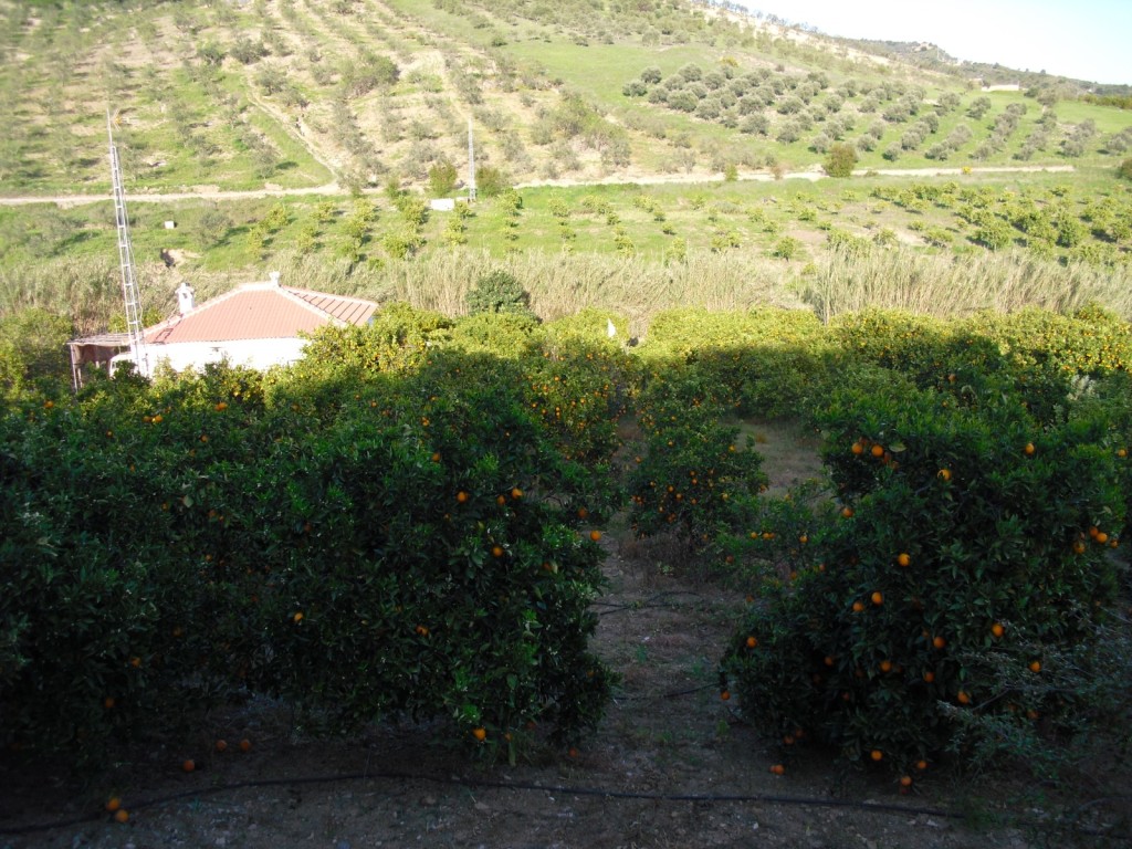 Villa Tolox € 170.000,-