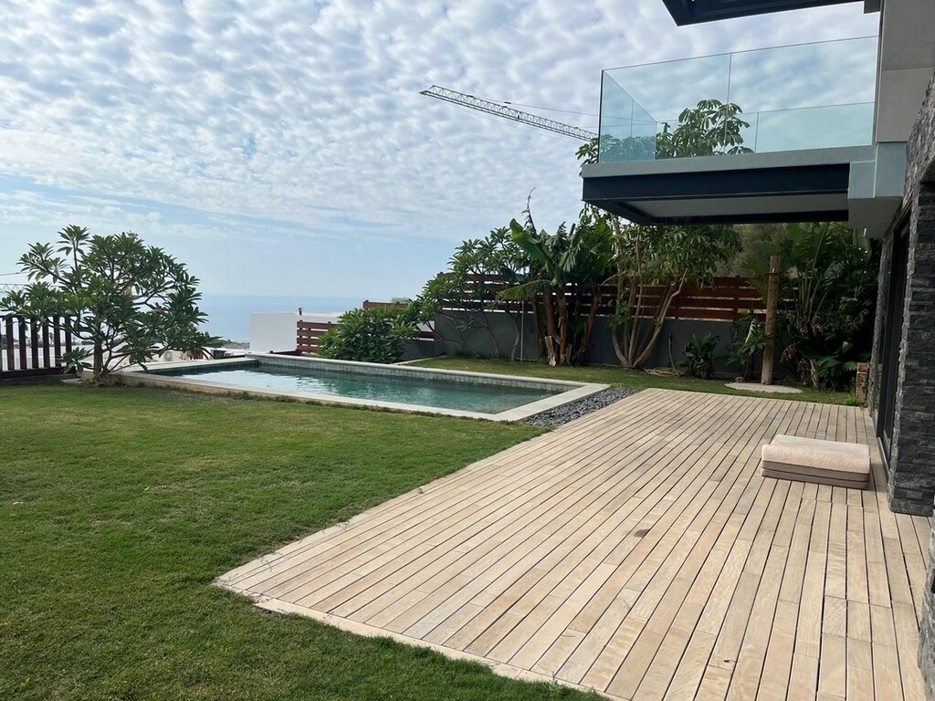 296729.jpg