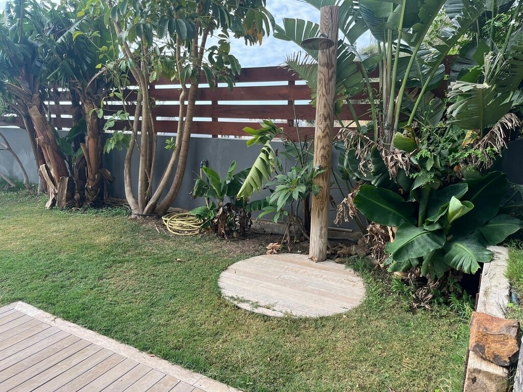 296731.jpg
