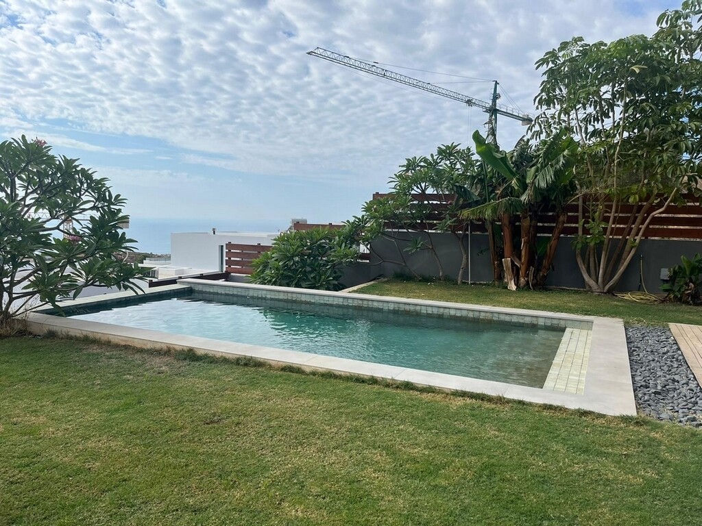 296738.jpg
