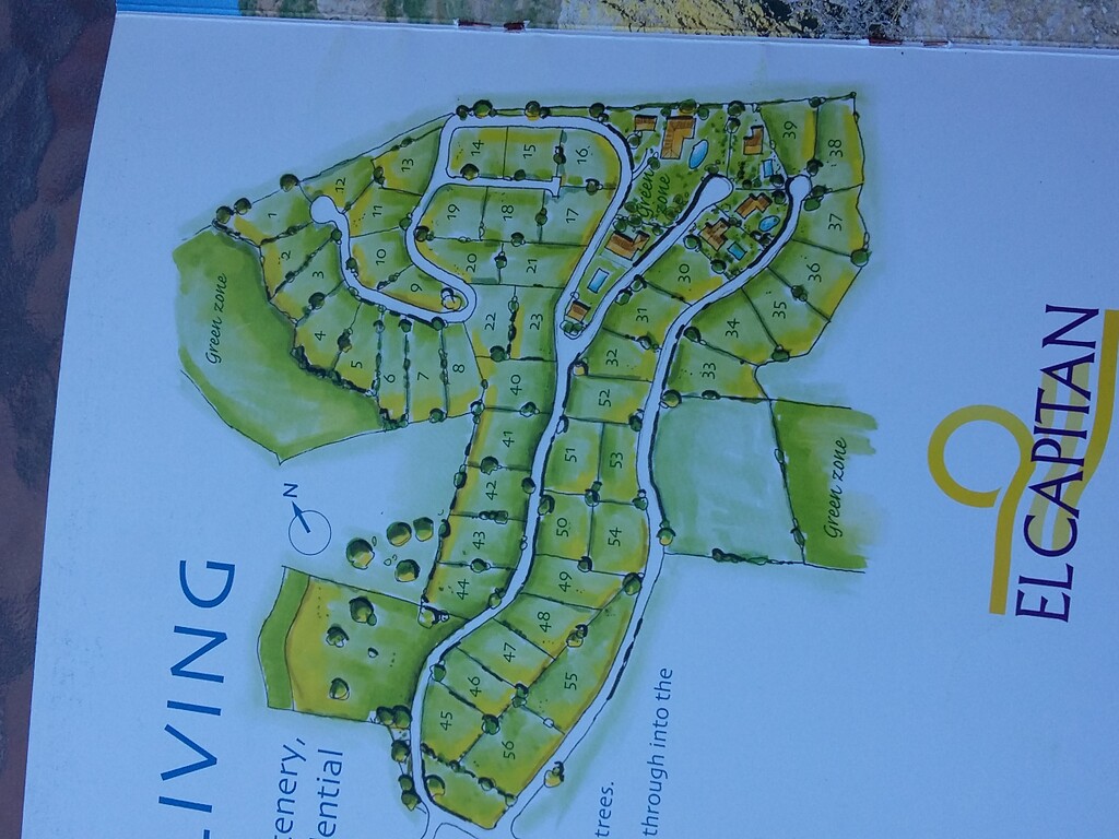 253337.jpg