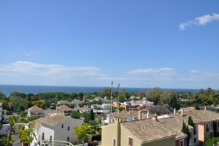 298540.jpg