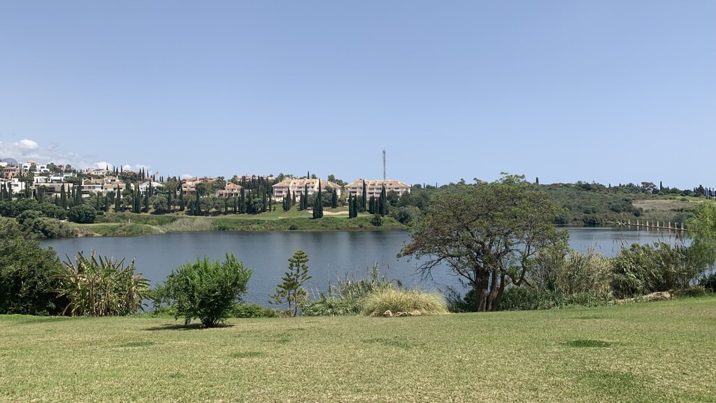 295679.jpg