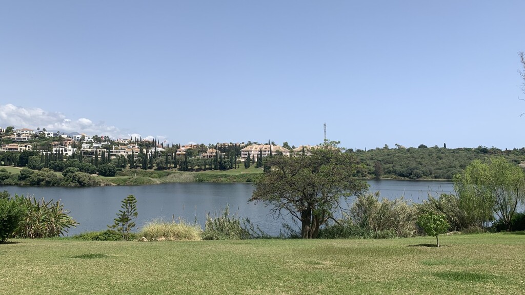295687.jpg