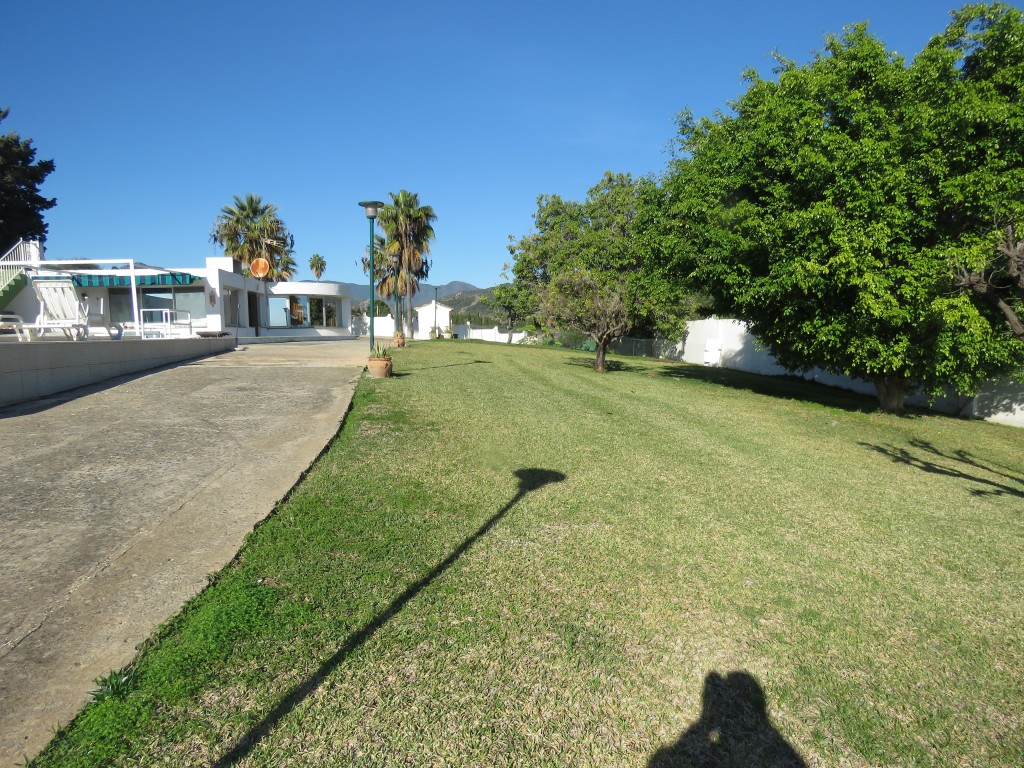 282479.jpg