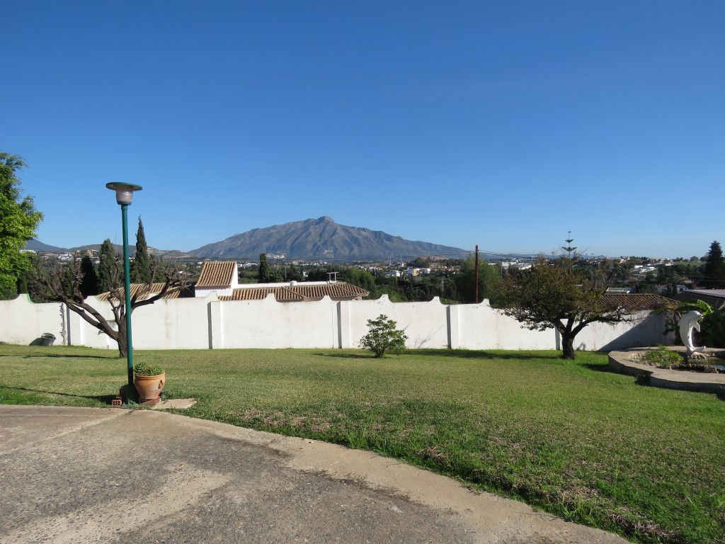 282485.jpg