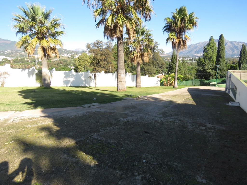 282513.jpg