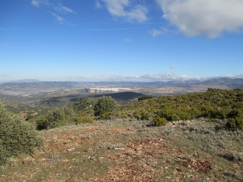 246559.jpg