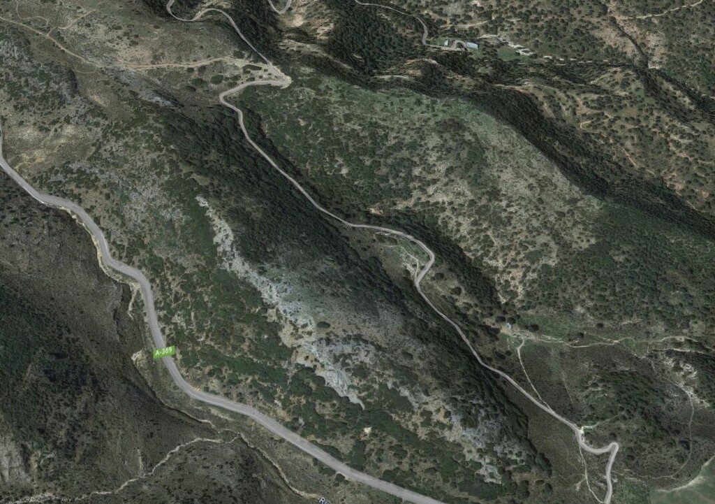 246560.jpg