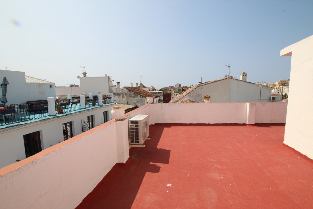 246144.jpg